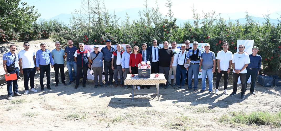 Denizli Pamukkale’de Nar Kalıntı Eylem Planı Projesi Kapsamında Tarla Günü Düzenlendi