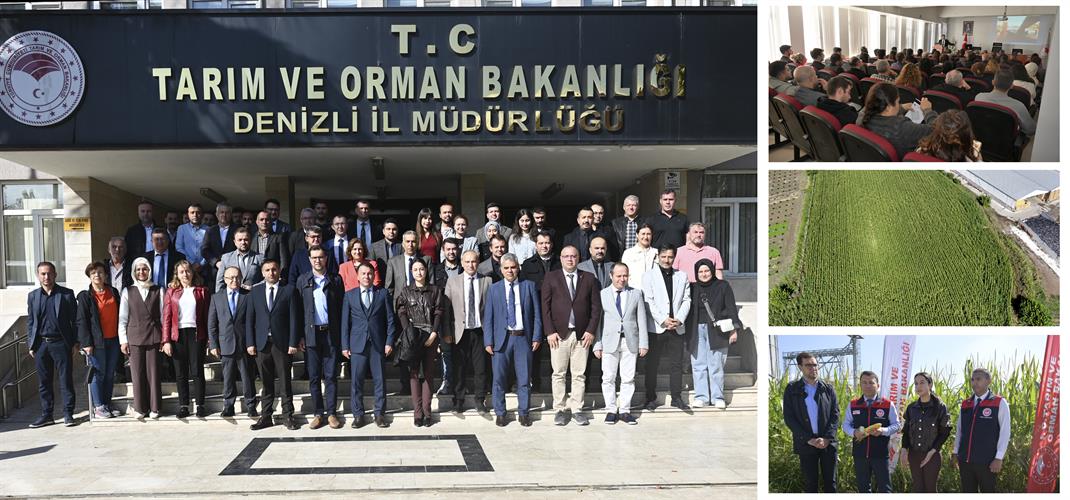 DENİZLİ’NİN TOPRAKLARI ORGANİK MADDE İLE BEREKETLENİYOR